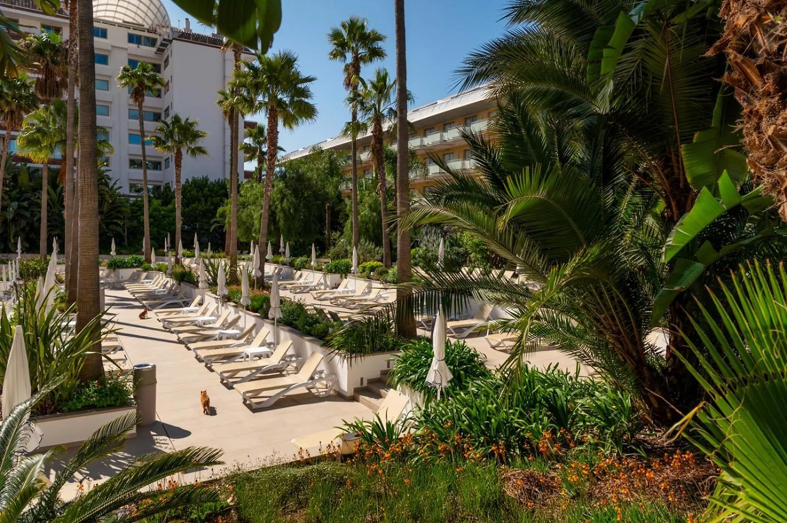 Aqua Hotel The Breeze (Adults Only +18) All Inclusive Santa Susanna Spain
